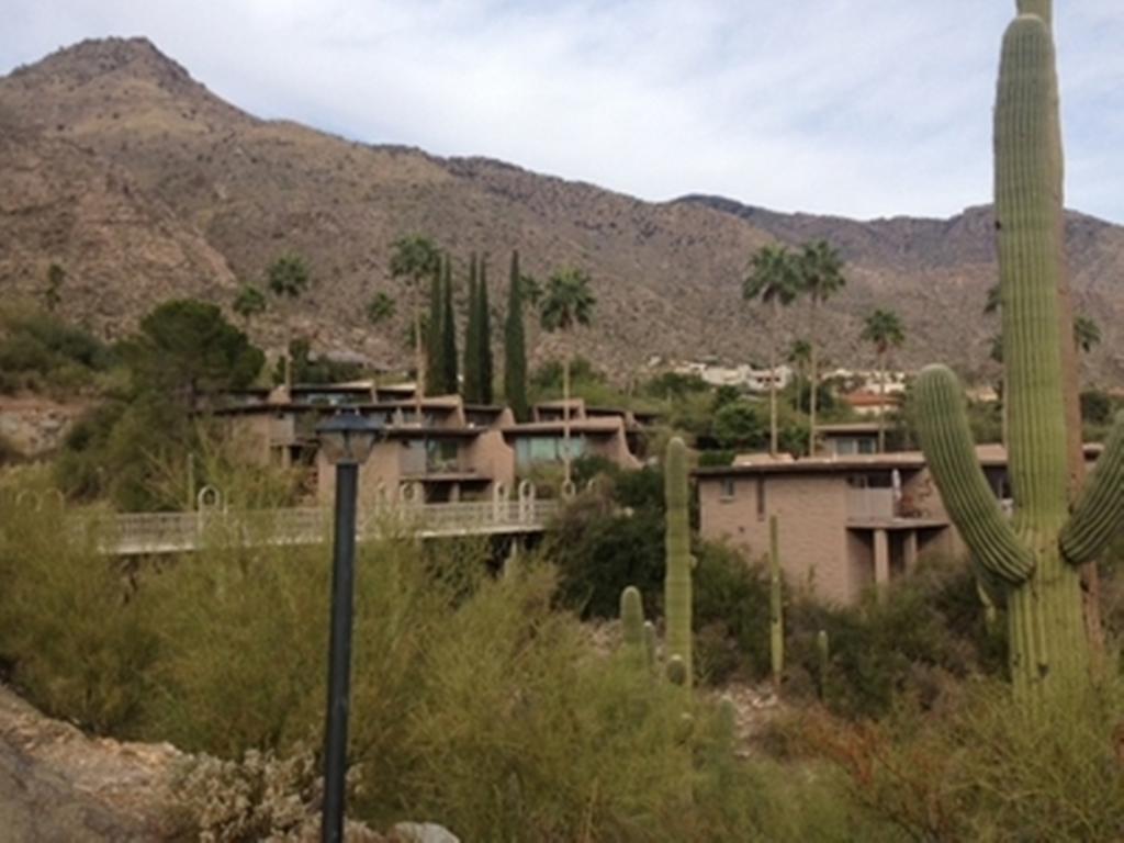 הוילה אורו ואלי Mission Hills Casitas By Arizona Housing Solutions - Pv8 חדר תמונה